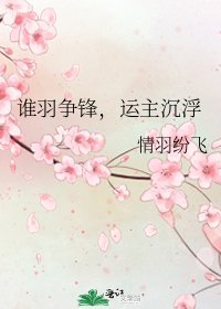 《谁羽争锋,运主沉浮》