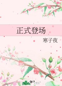 正式登場